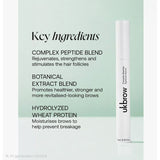 UKLASH Complex Peptide Eyebrow Serum